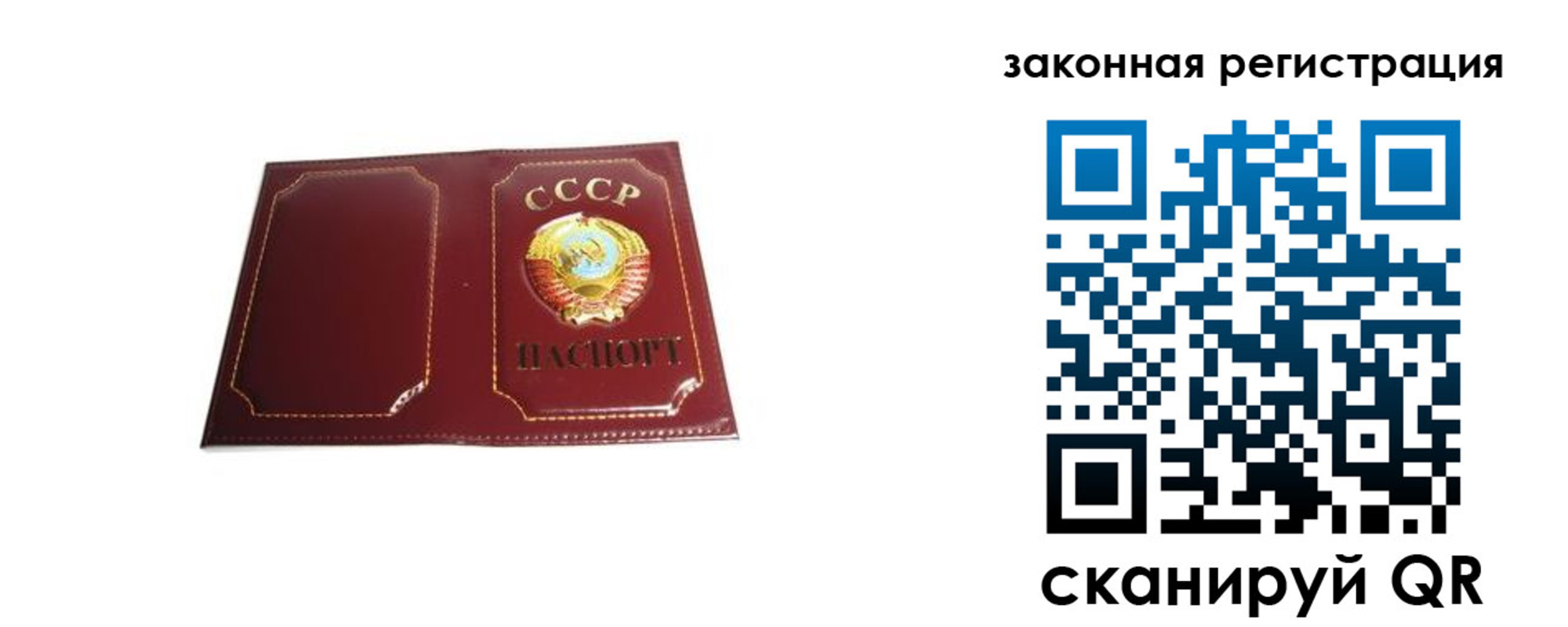прописка поиск в Павловске